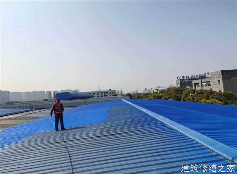 肇庆2026四会市 厂房屋面防水 企业
